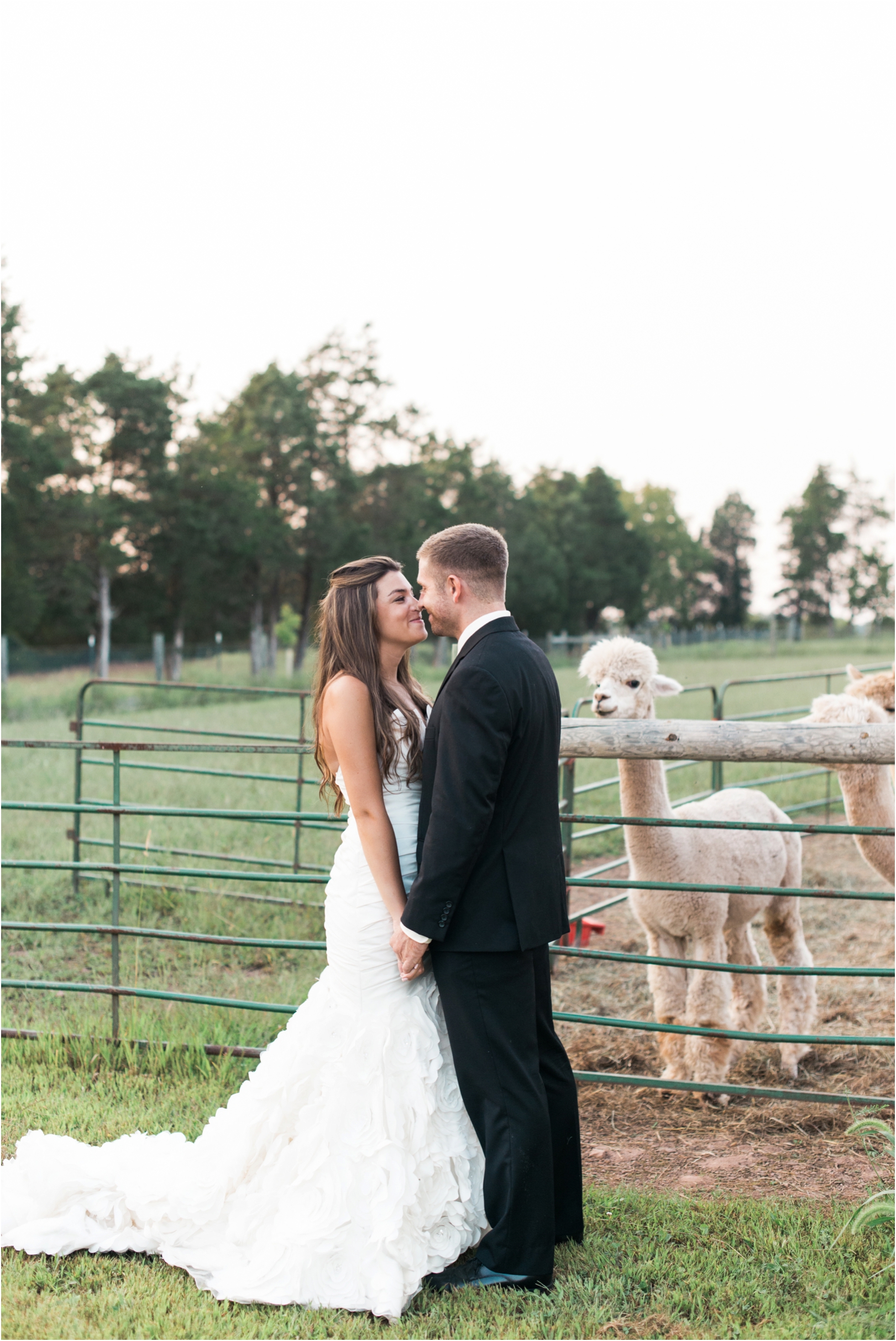 (C) Joy Michelle Photography 2015