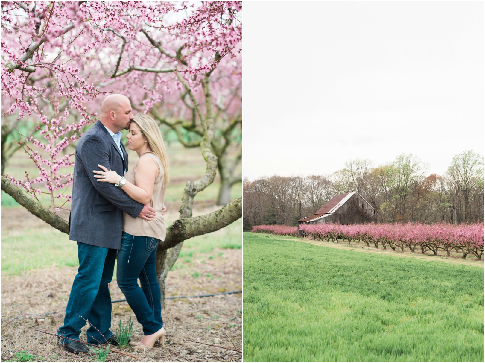 Cherry Blossoms Engagement Photos Maryland