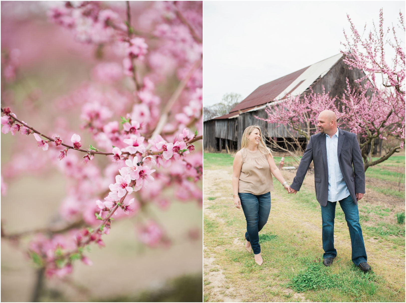 maryland peach blossom engagement session