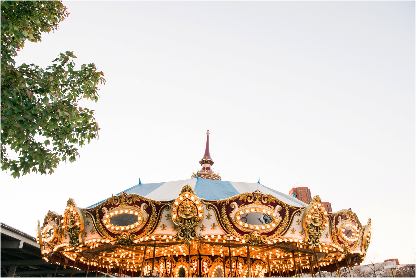 engagement session on a carousel