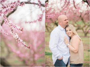 Cherry Blossom engagement photos