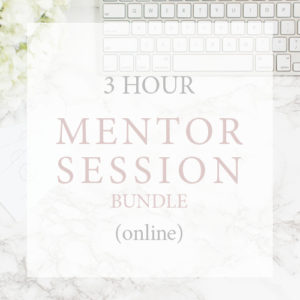 3 hour mentor session bundle